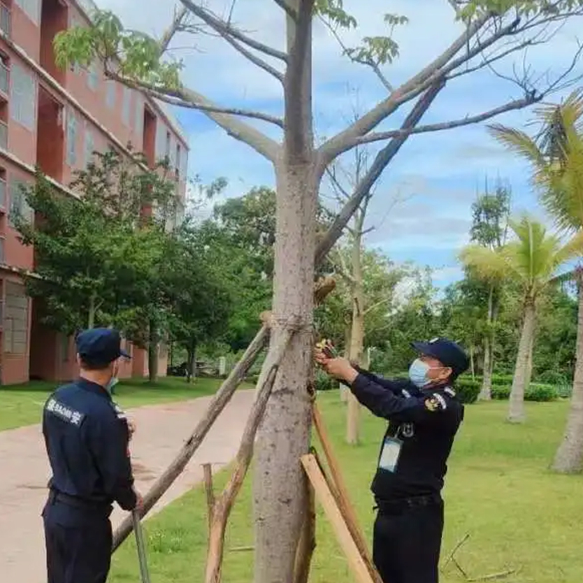 聞“風(fēng)”而動，全力以“復(fù)” | 災(zāi)后重建，百雀人在行動